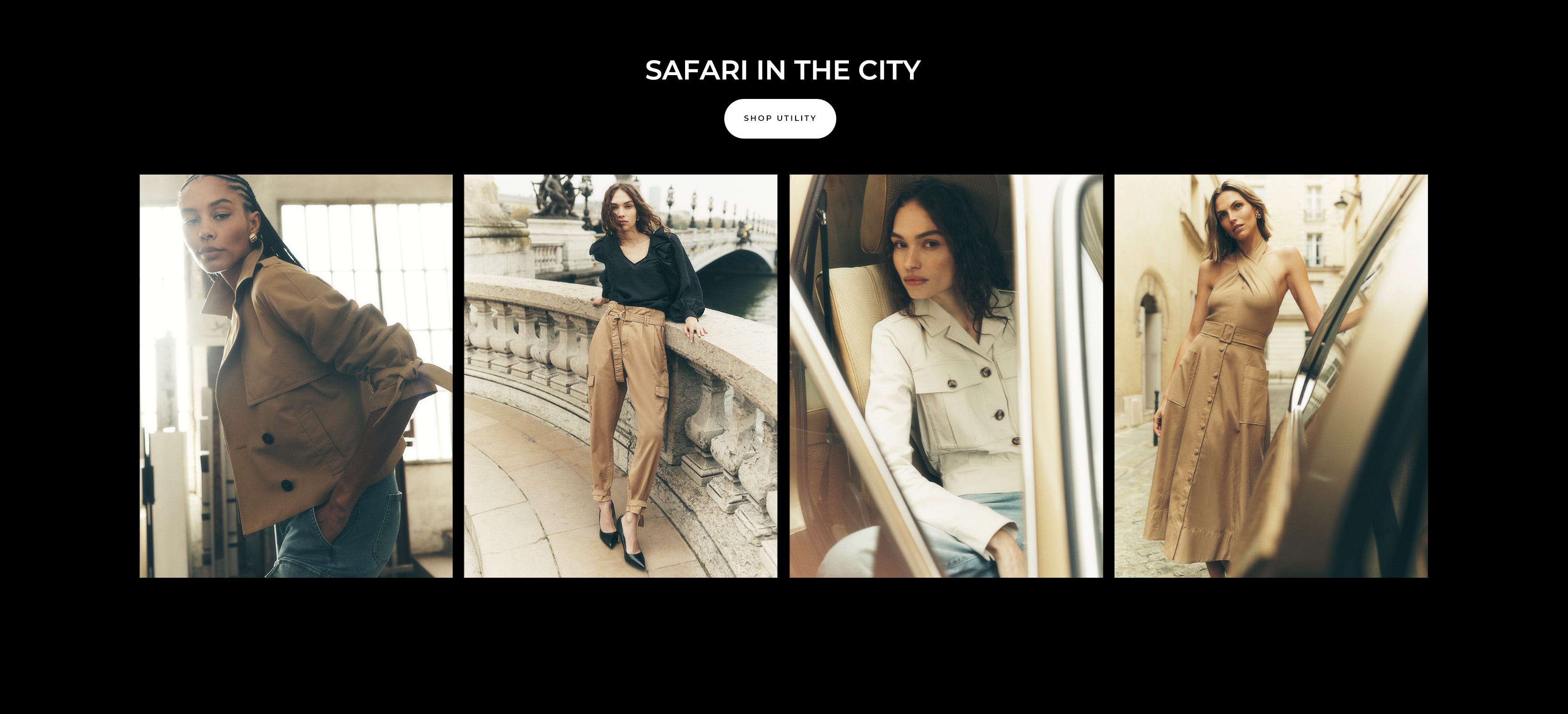 Safari in the City
