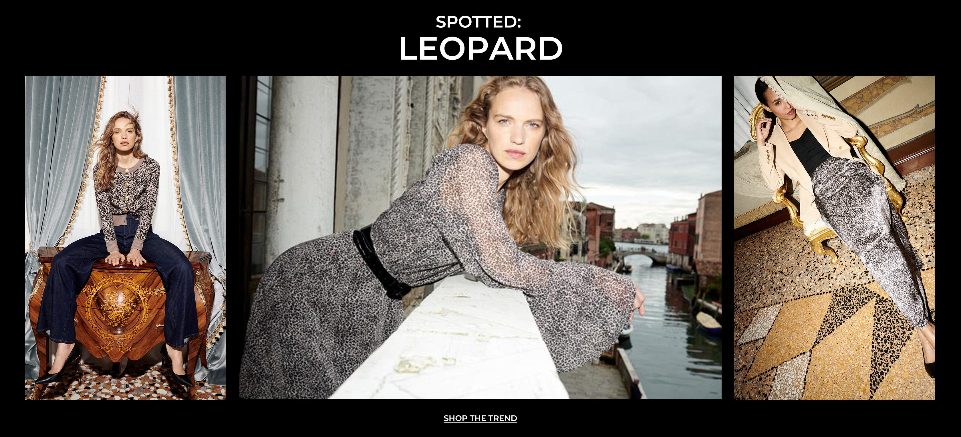 spotted leopard