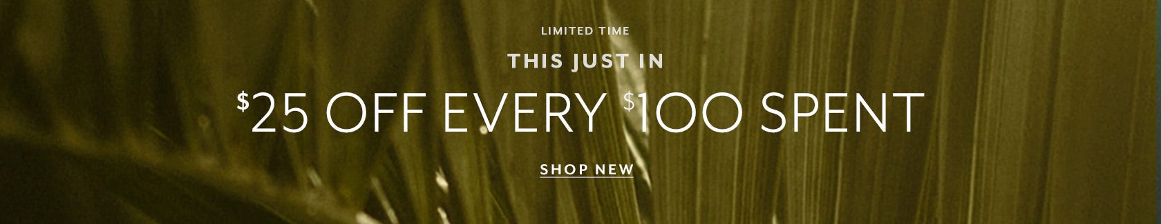 Final $25 Off Every $100 Spent