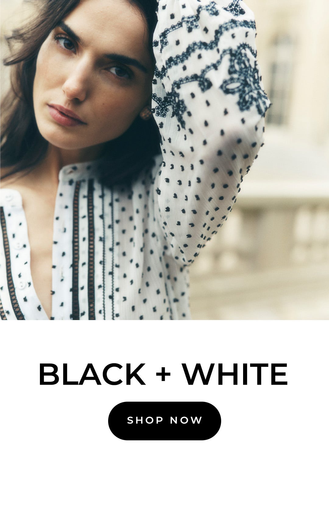 Black and White Collection