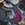 Tulip Garden Black