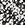 Fleeting Floral Black