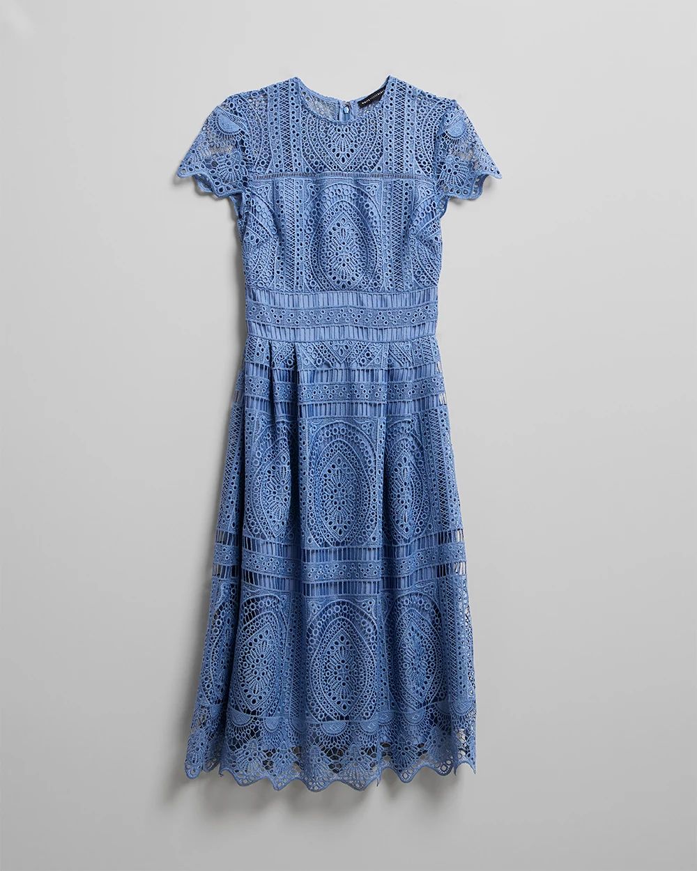 Embroidered Lace Fit-and-Flare Dress