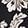 Passion Scroll Random Blk