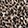 Joyful Leopard Taupe
