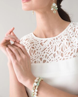 Lace Yoke Fit and Flare Dress