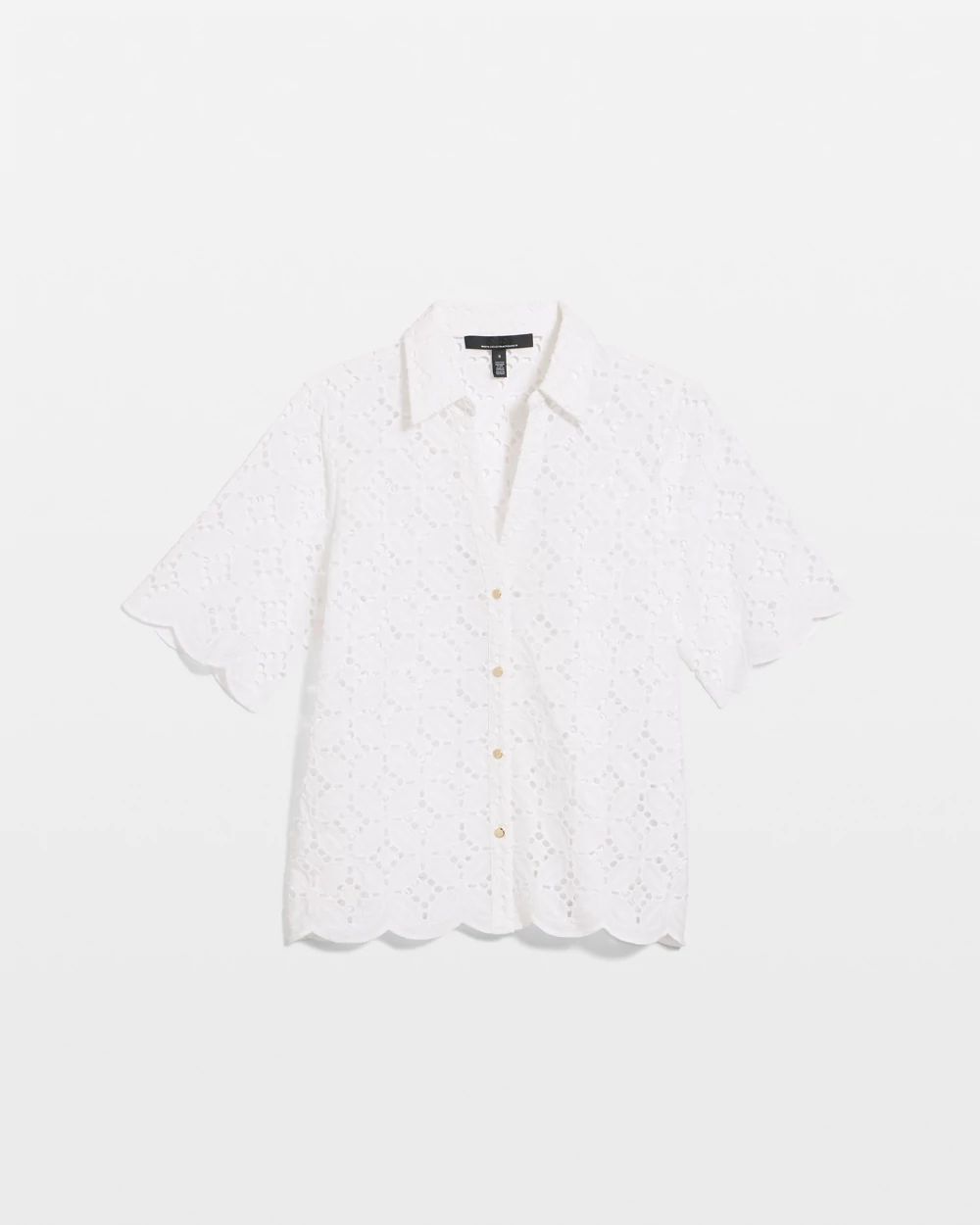 Petite Elbow Sleeve Lace Cotton Shirt