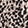Joyful Leopard Taupe