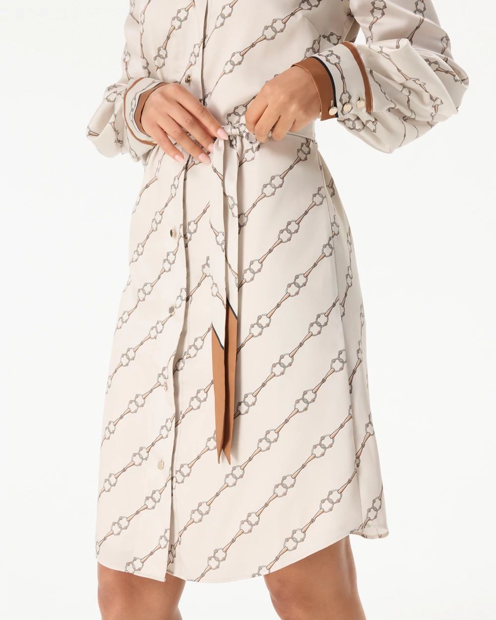 Satin Shirt Dress click to view larger image.