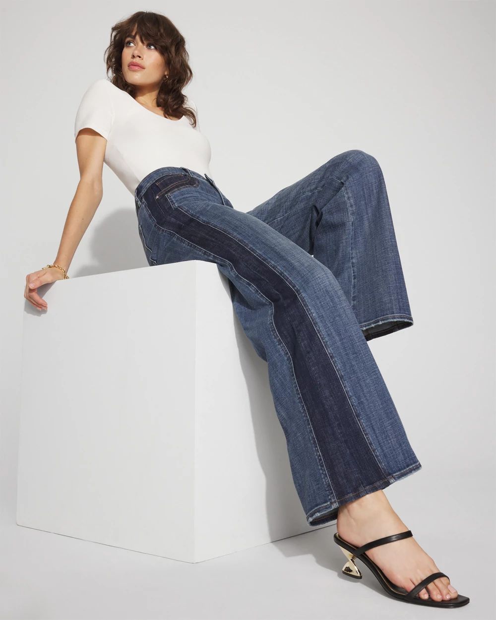 High-Rise Colorblocked Wide-Leg Jean