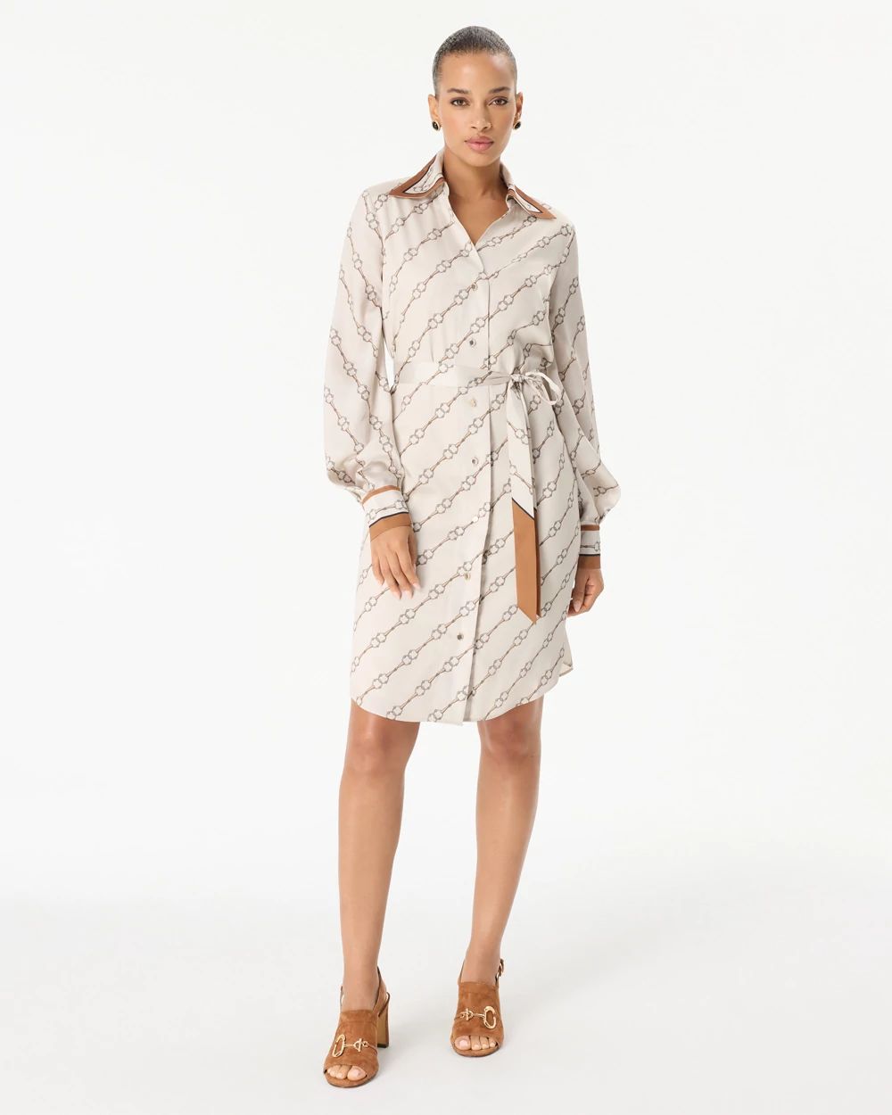 Satin Shirt Dress