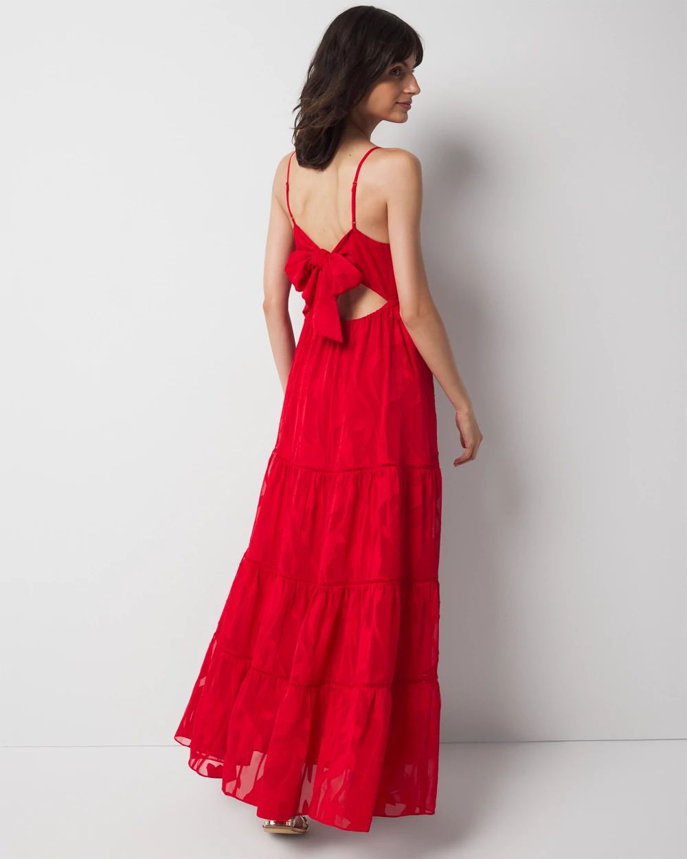 Petite Chiffon Burnout Maxi Dress