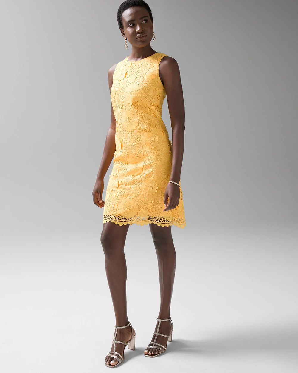 Sleeveless Embroidered Lace Shift Dress