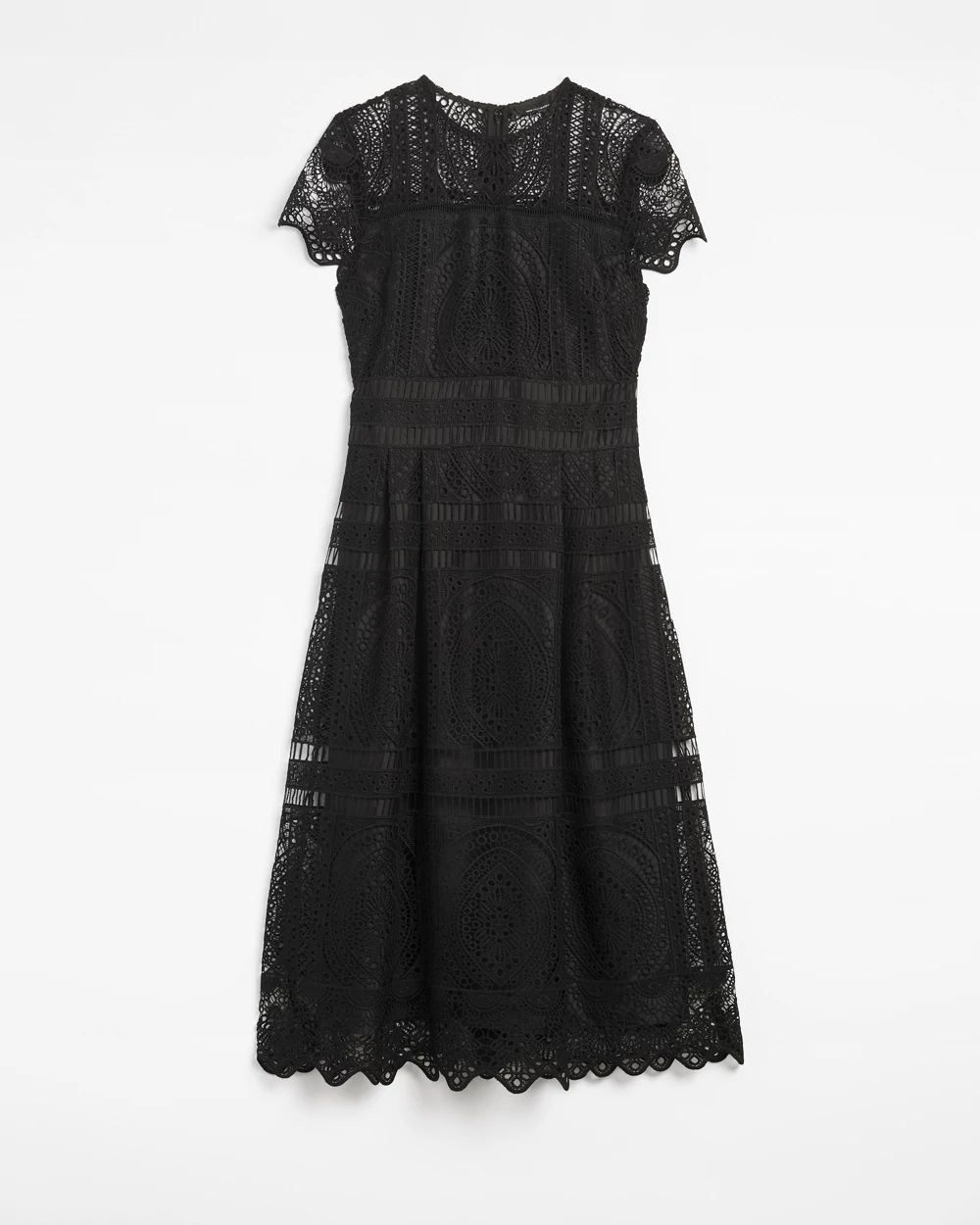 Embroidered Lace Fit-and-Flare Dress