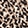 Joyful Leopard Taupe