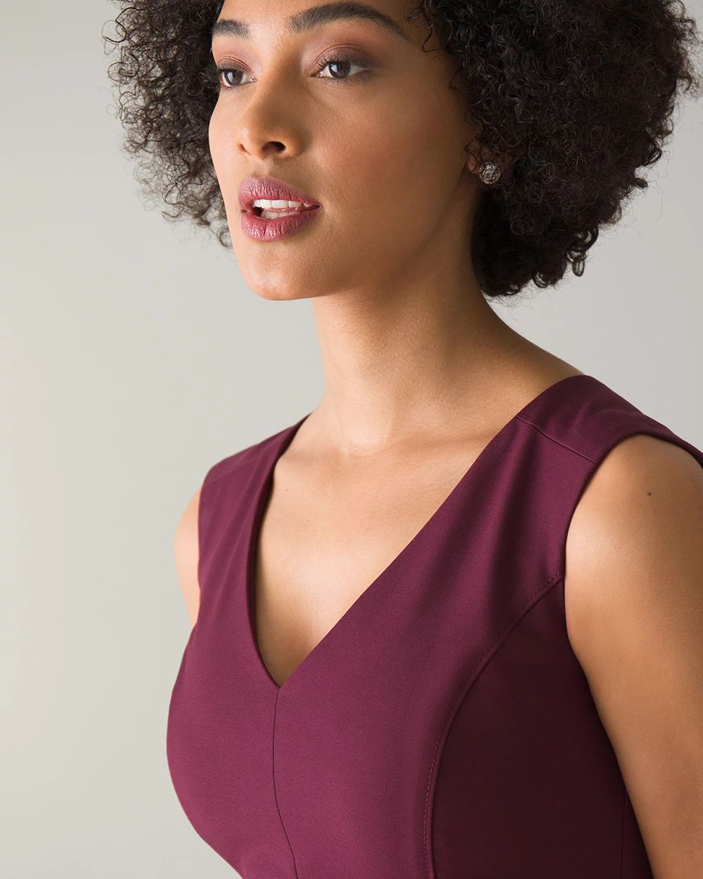 Petite Sleeveless Sheath Dress