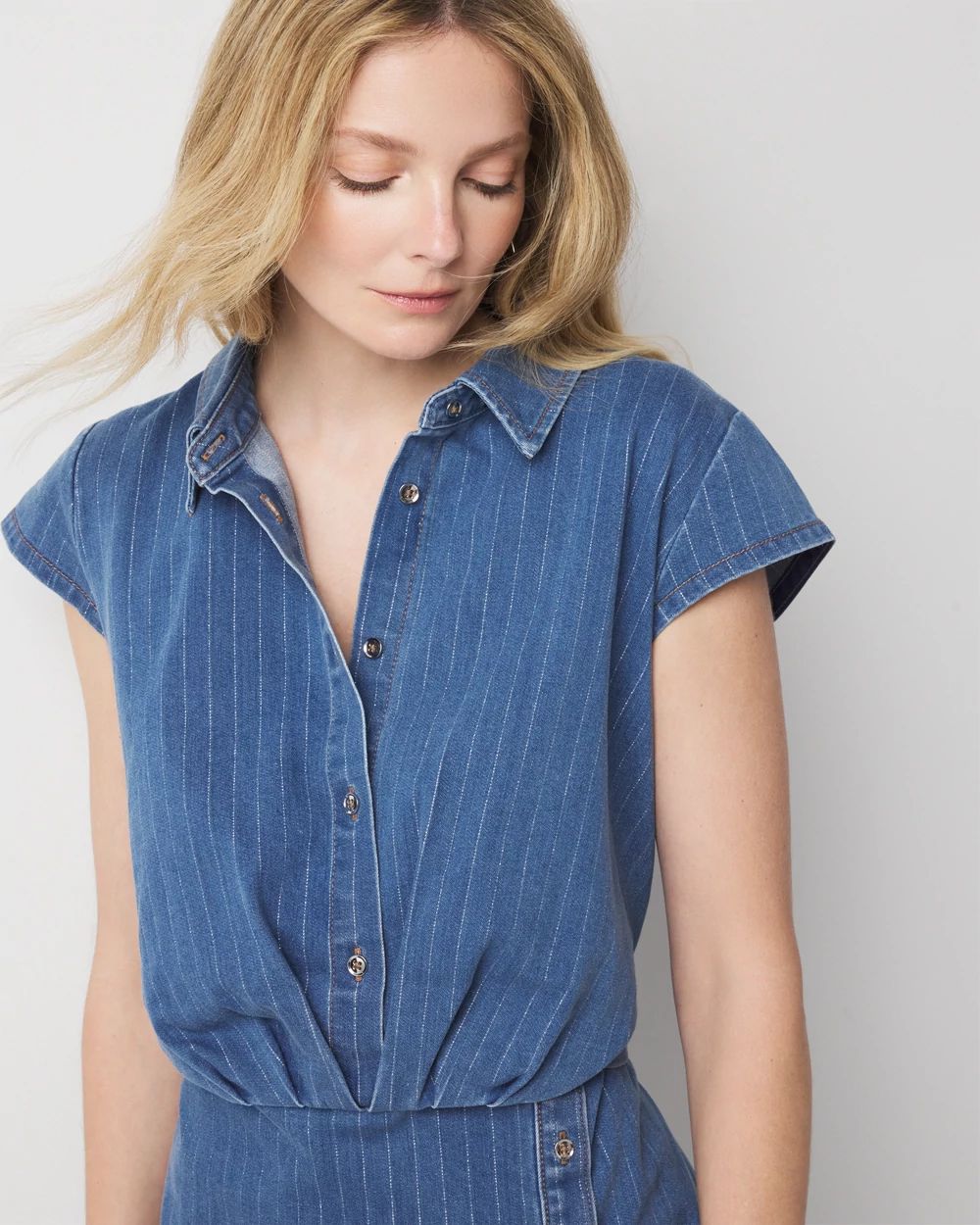 Striped Denim Sheath Dress