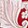 Passion Scl Ao Goji Berry