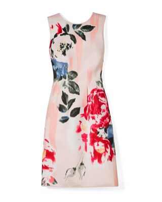 Printed Scuba Fit-and-Flare Dress