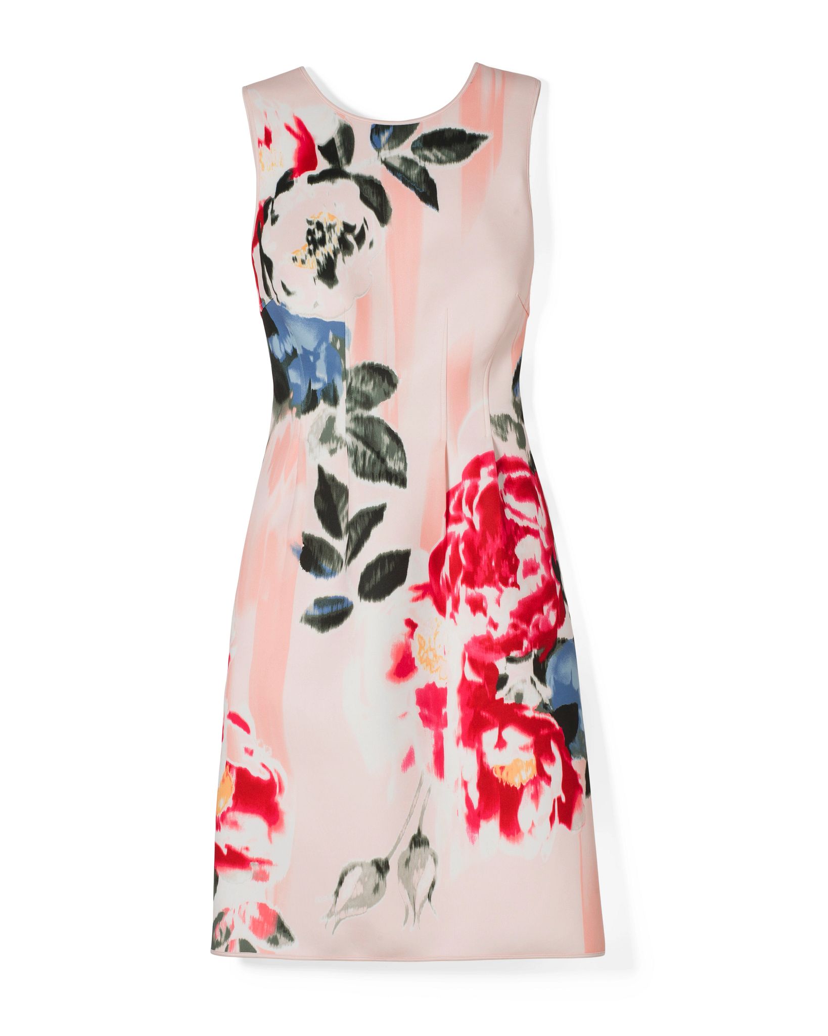 Printed Scuba Fit-and-Flare Dress
