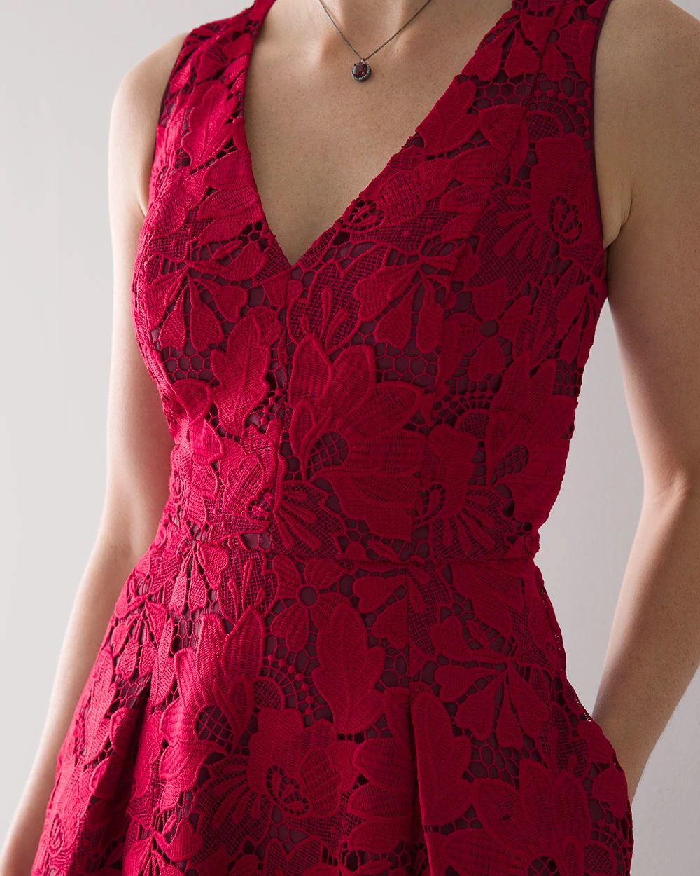 Lace Fit & Flare Dress