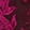 Abstract Trop Orchid Flwr