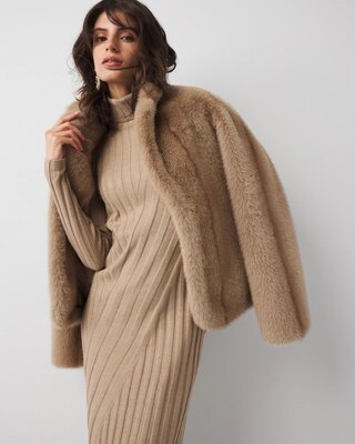 Ribbed Turtleneck Sweater Dress click to view larger image.