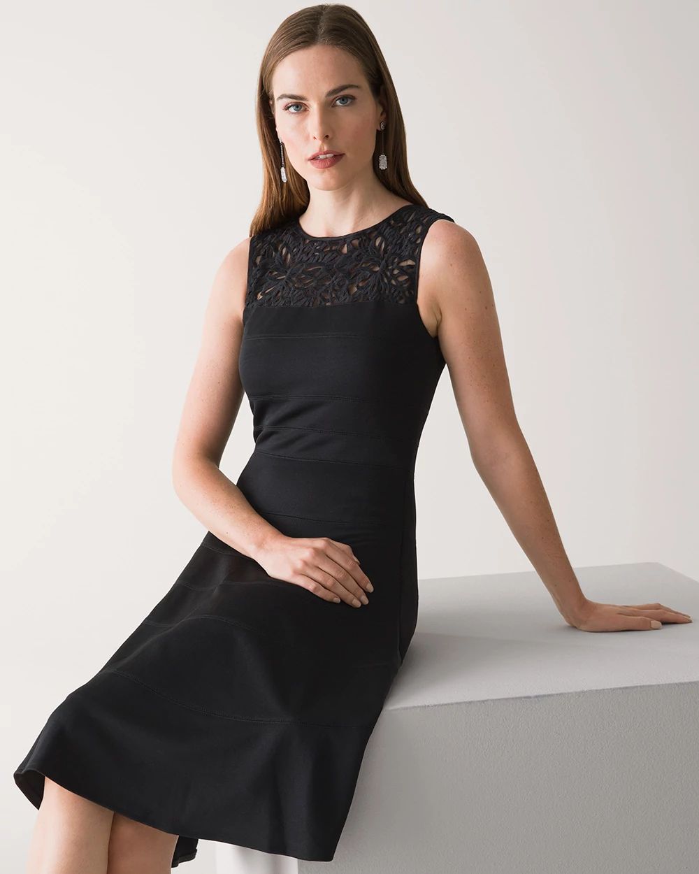 Petite Lace Yoke Fit and Flare Dress