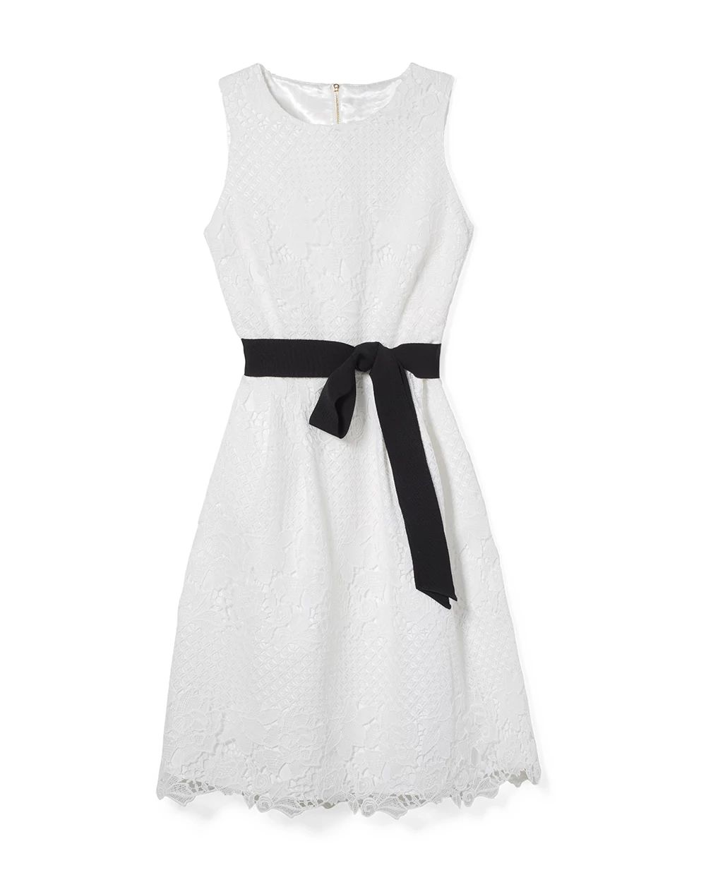 Petite Lace Fit & Flare Dress