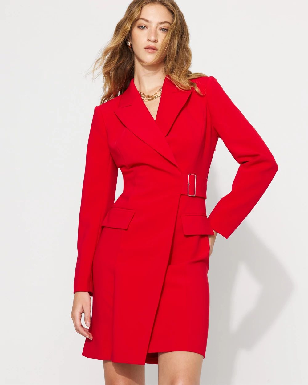 Blazer Dress click to view larger image.