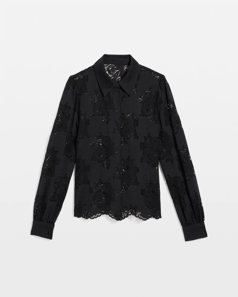 Lace Shirt with Scalloped Hem
