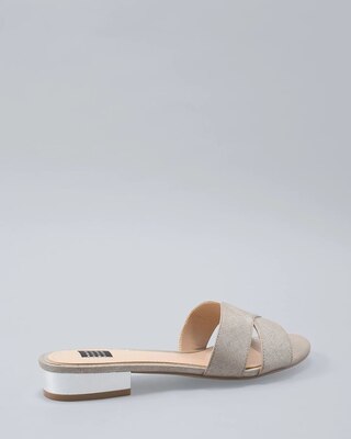 Metallic Slides