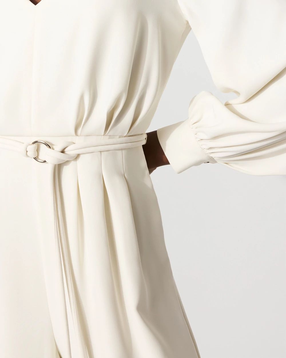 Sheer Sleeve Crepe Jumpsuit