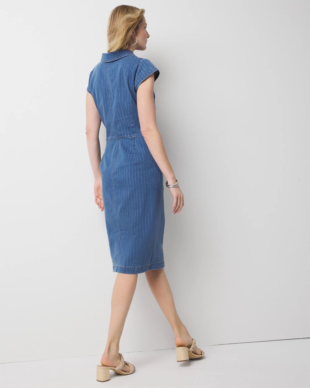 Striped Denim Sheath Dress