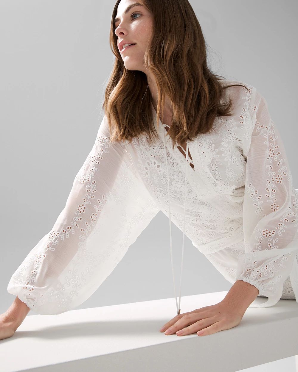 Petite Long Sleeve White Eyelet Dress White House Black Market