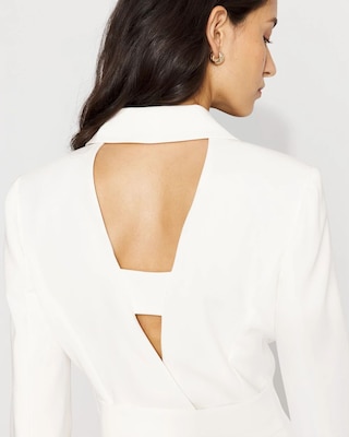 Blazer Dress click to view larger image.