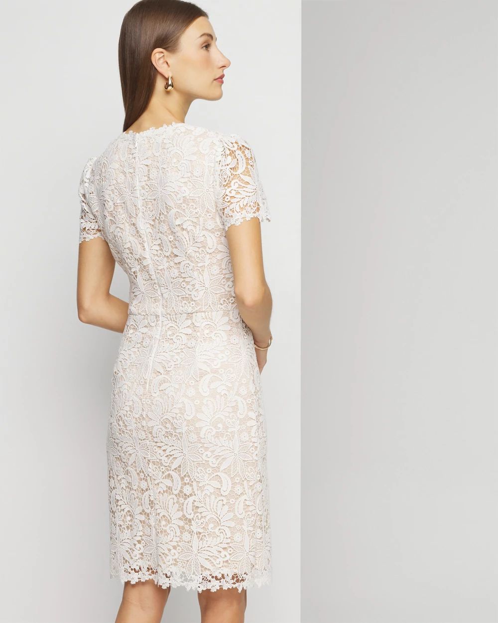 Petite Short Sleeve V-Neck Lace Sheath Dress