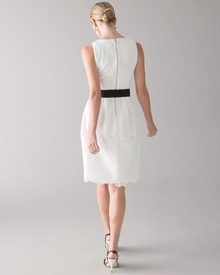 Lace Fit & Flare Dress