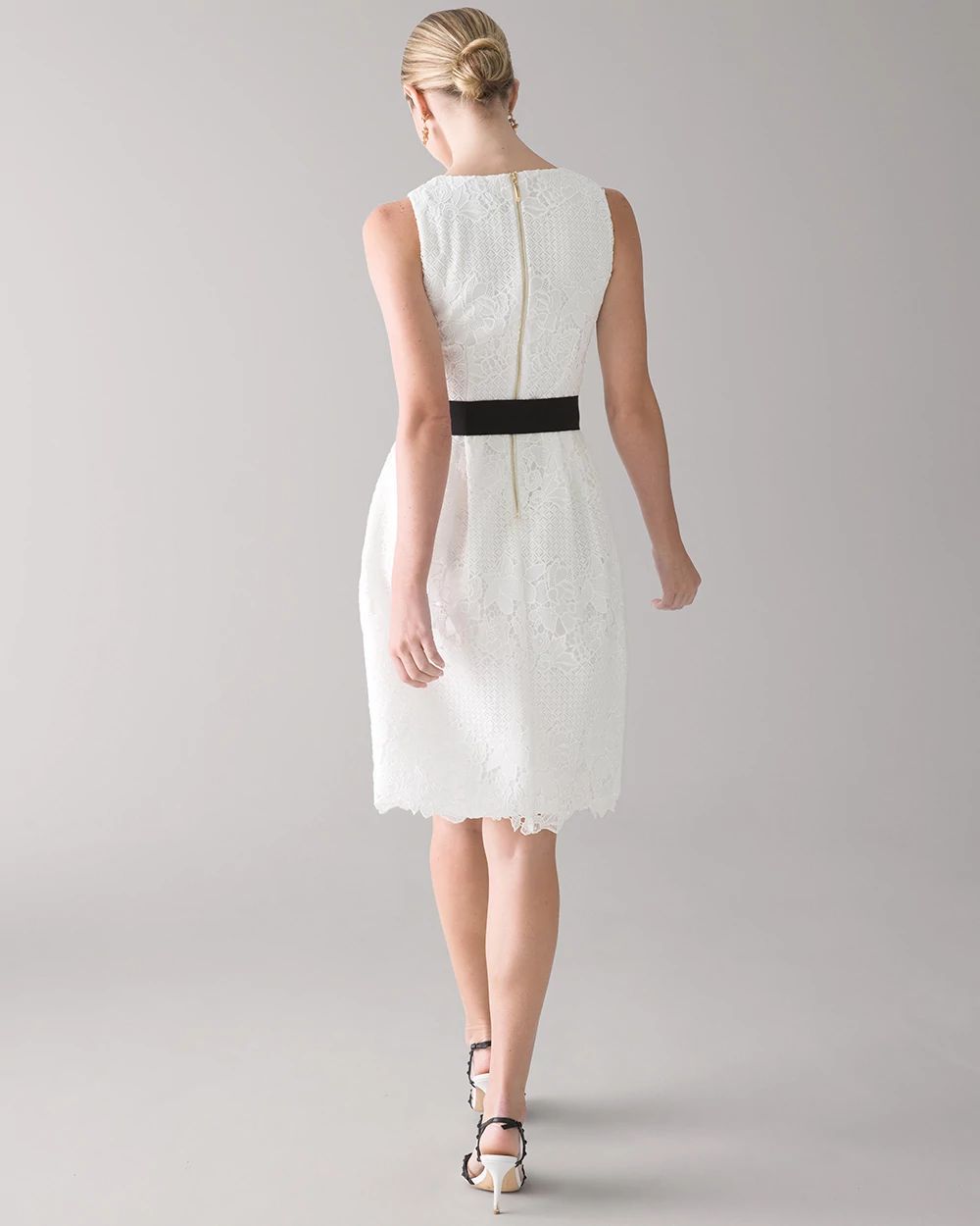 Lace Fit & Flare Dress