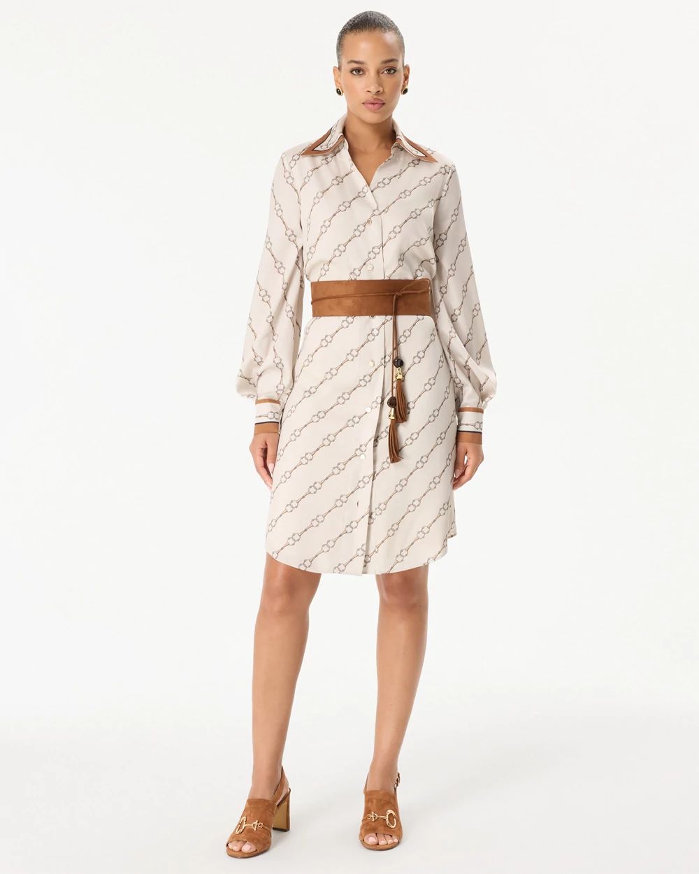 Satin Shirt Dress click to view larger image.