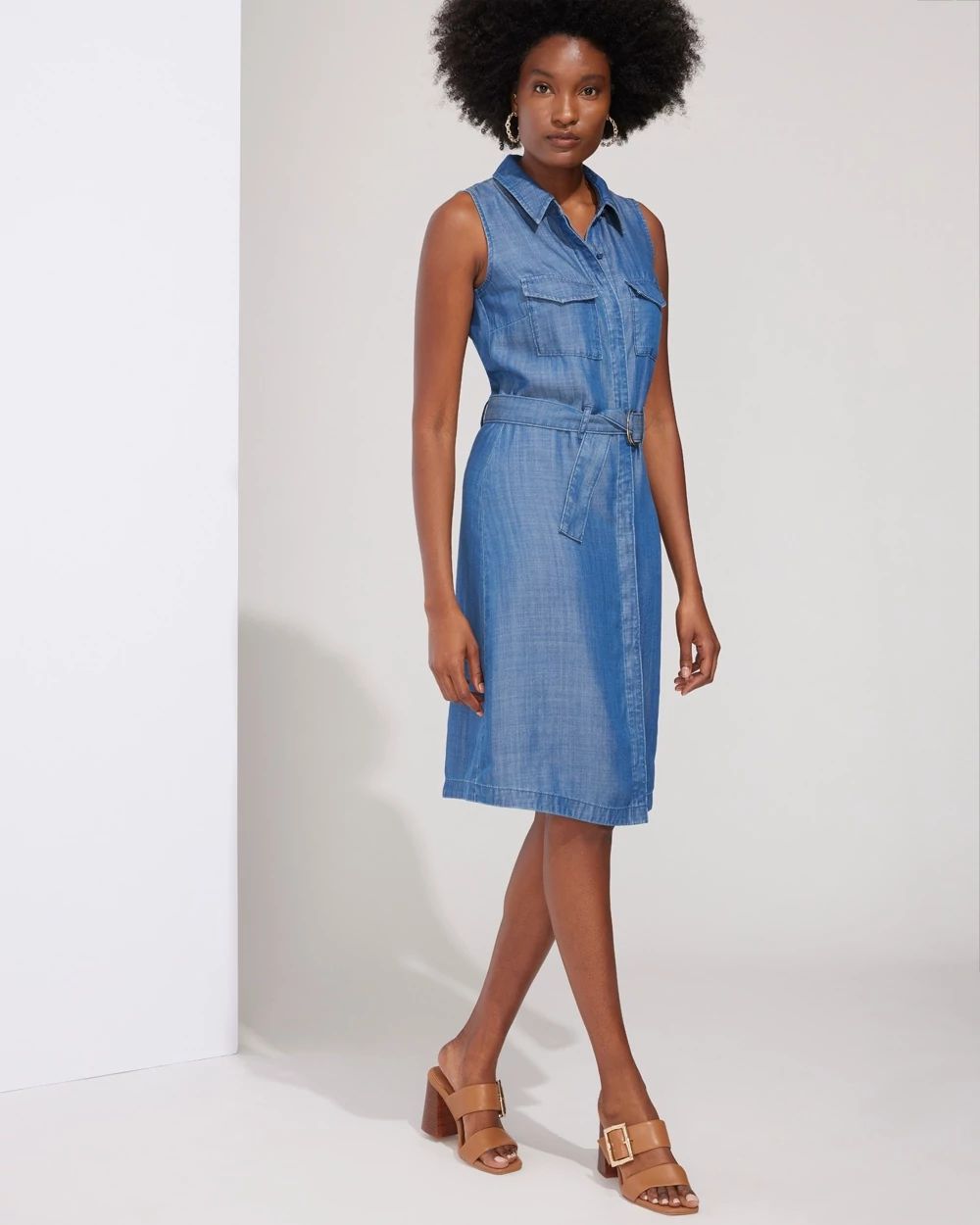 Outlet WHBM Tencel Utility Dress