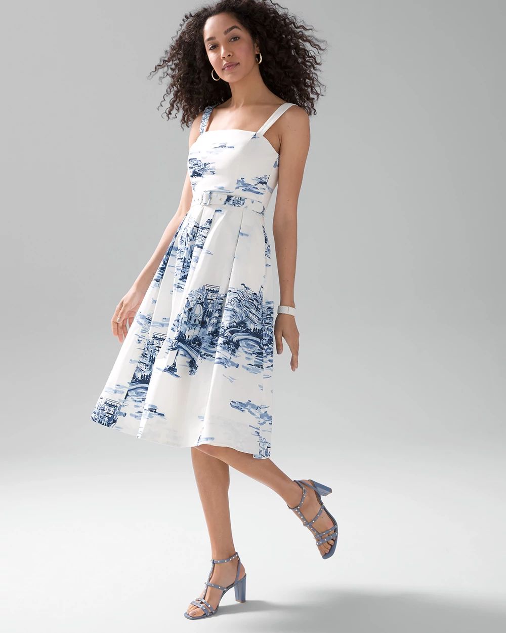 Toile Poplin Fit & Flare Dress