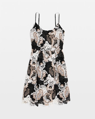 Lace Mini Dress click to view larger image.