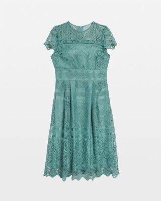 Embroidered Lace Fit-and-Flare Dress