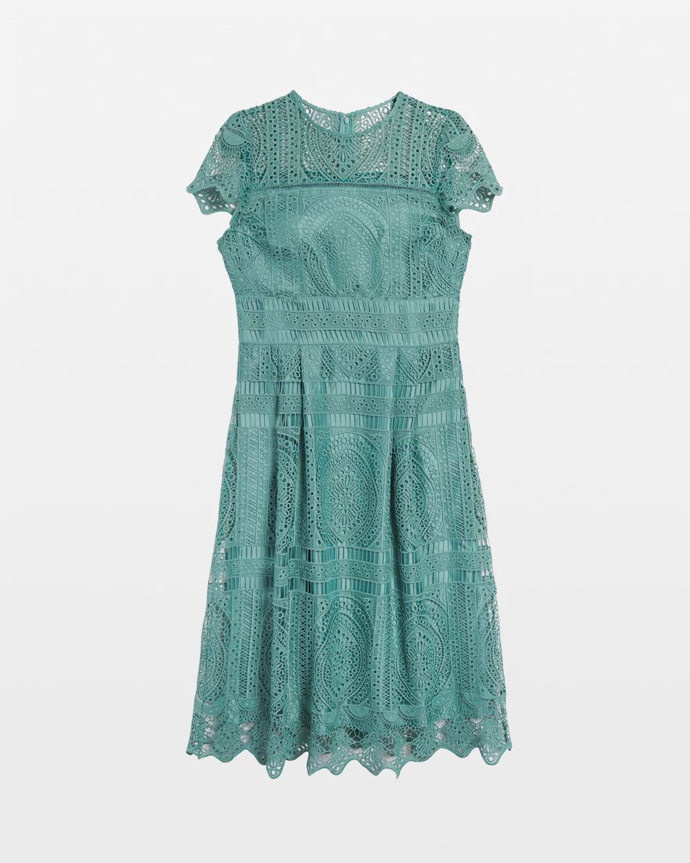 Embroidered Lace Fit-and-Flare Dress