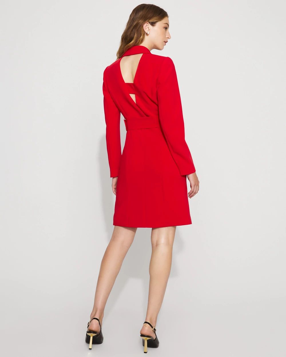 Blazer Dress click to view larger image.