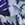 Michelle Floral Midnight