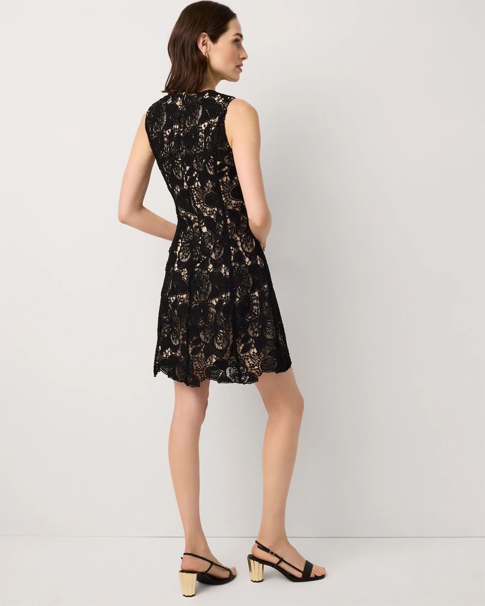Petite Fit + Flare Lace Dress