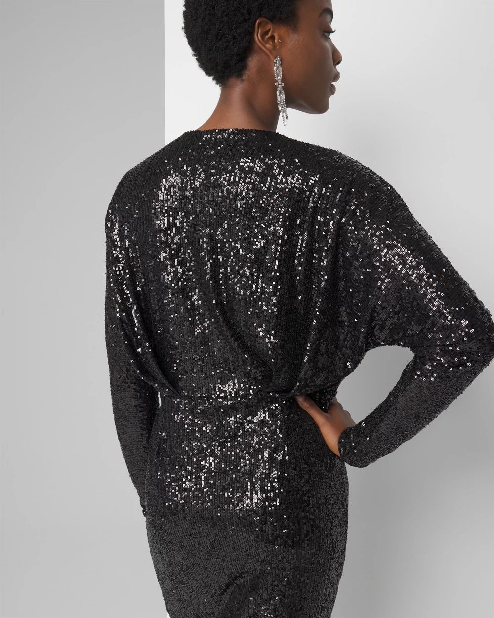 Sequin Pleated Dress click to view larger image.