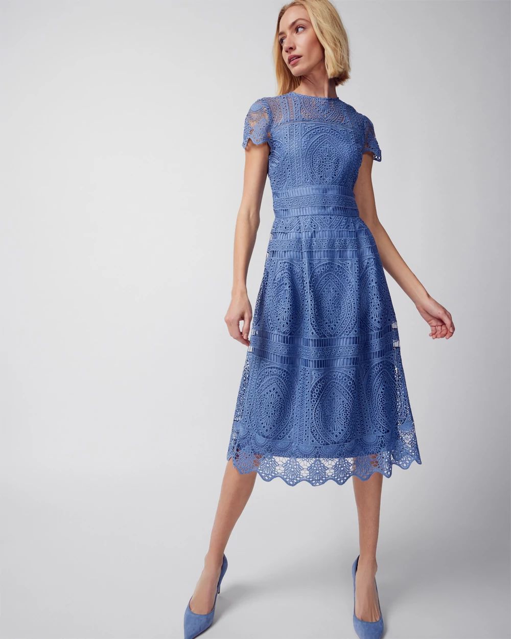 Embroidered Lace Fit-and-Flare Dress